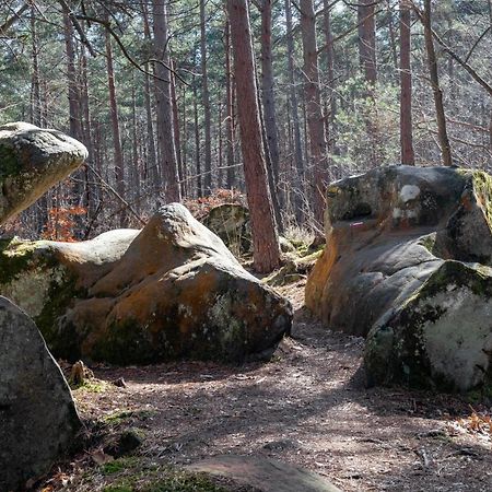 Logisfontainebleau Bed & Breakfast Villiers-sous-Grez Екстериор снимка
