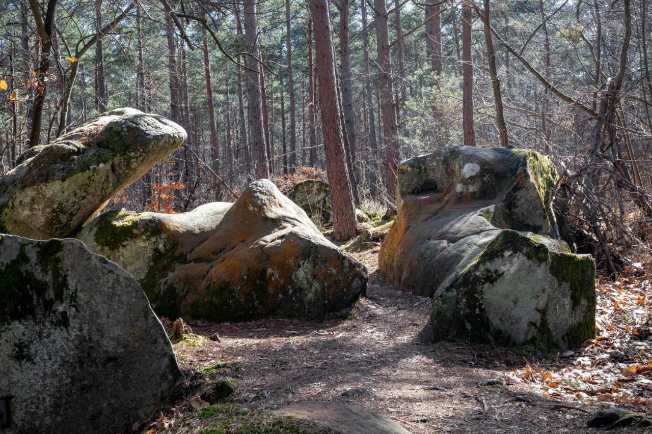 Logisfontainebleau Bed & Breakfast Villiers-sous-Grez Екстериор снимка